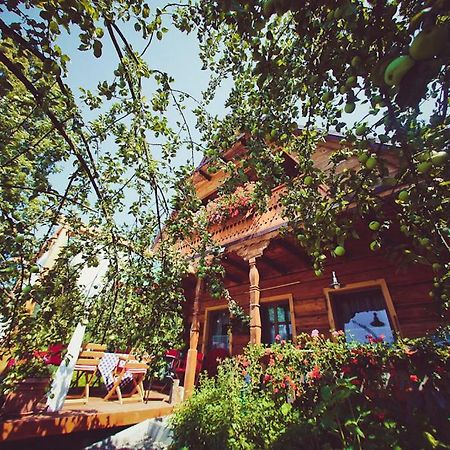 Mietowy Aniol Villa Устшики Долне Екстериор снимка