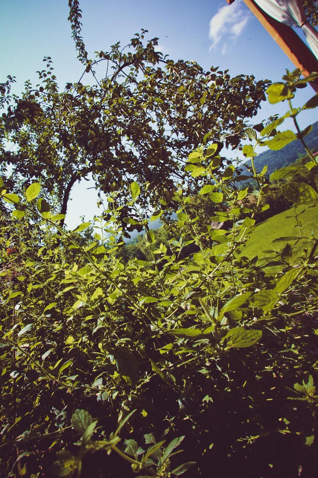 Mietowy Aniol Villa Устшики Долне Екстериор снимка