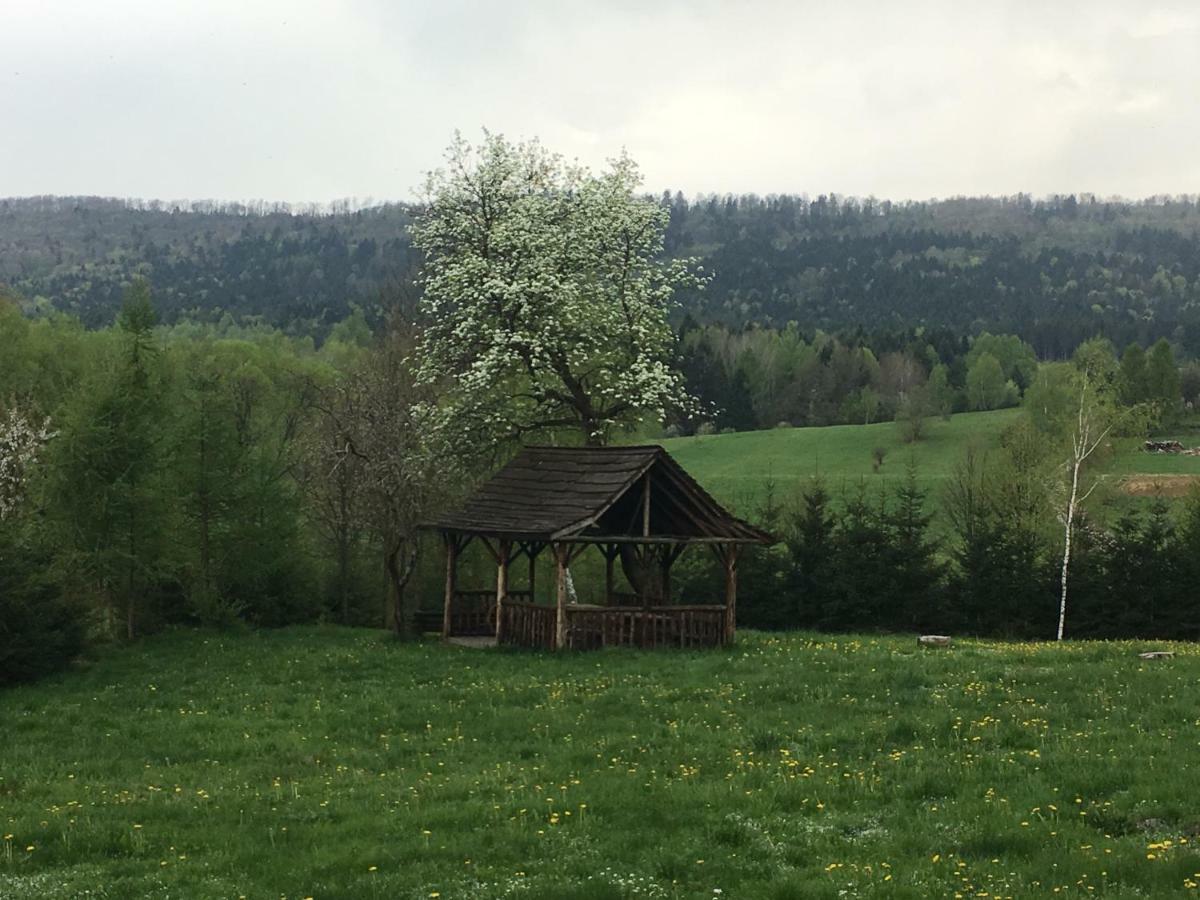 Mietowy Aniol Villa Устшики Долне Екстериор снимка