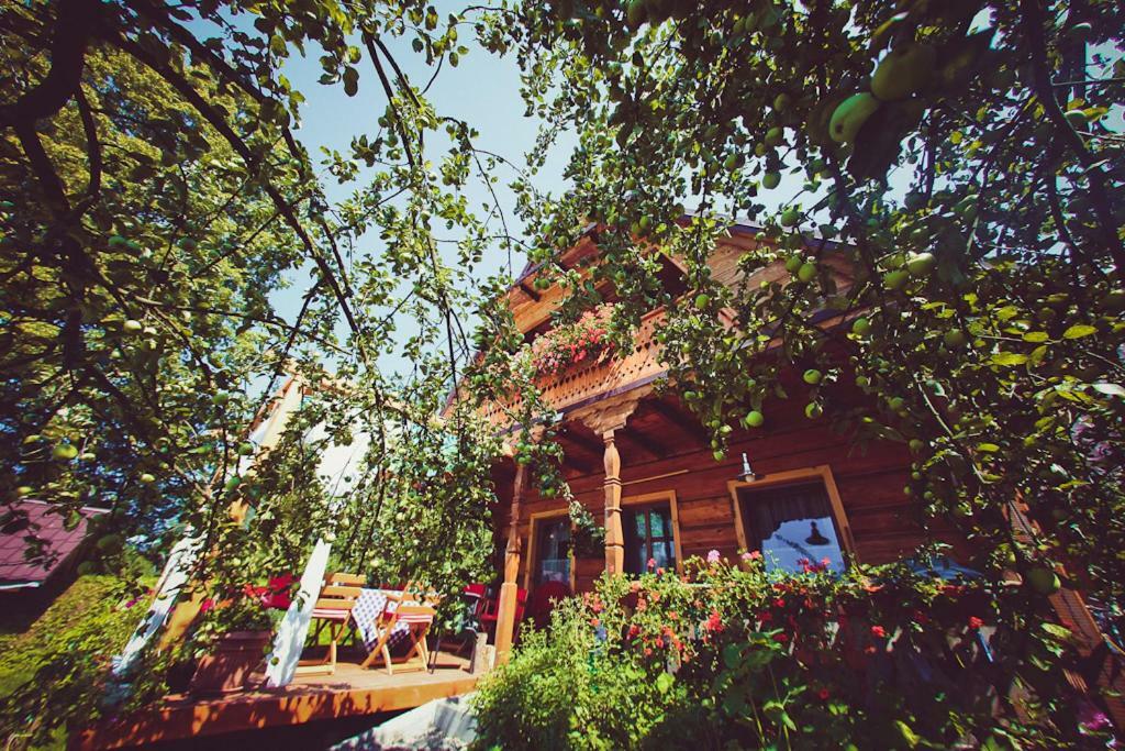 Mietowy Aniol Villa Устшики Долне Екстериор снимка